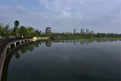 利发国际欧洲厅|Home