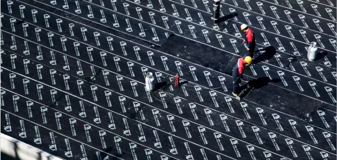 首页|bifa必发集团中国官方网站