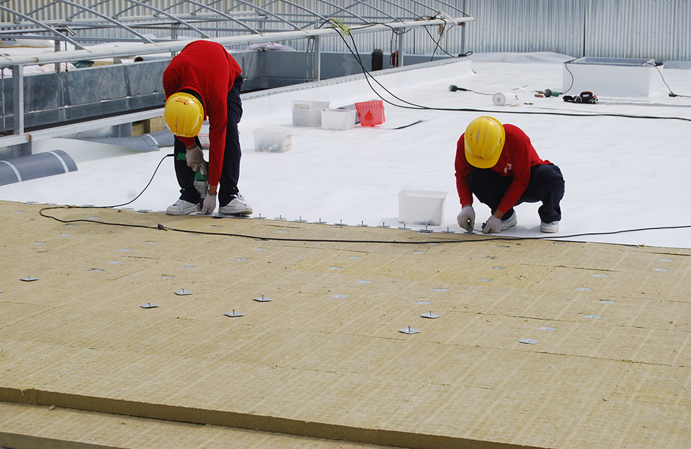 首页|bifa必发集团中国官方网站