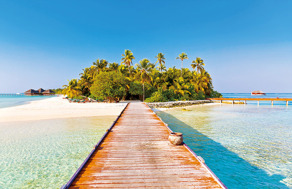 首页|bifa必发集团中国官方网站