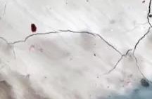 首页|bifa必发集团中国官方网站