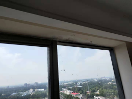 首页|bifa必发集团中国官方网站