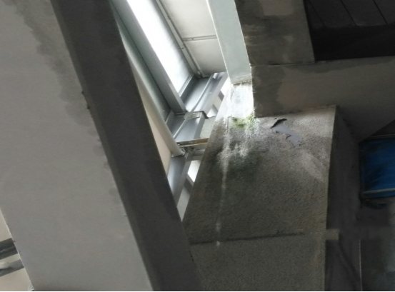 首页|bifa必发集团中国官方网站