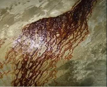 首页|bifa必发集团中国官方网站