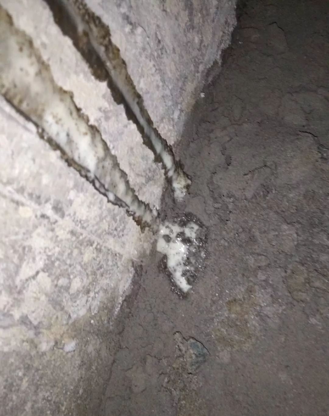 首页|bifa必发集团中国官方网站