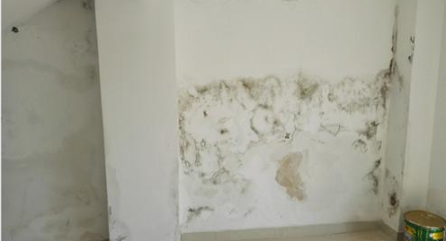 首页|bifa必发集团中国官方网站