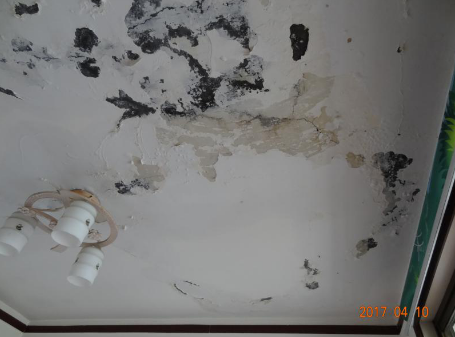 首页|bifa必发集团中国官方网站