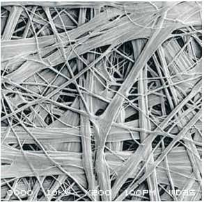 首页|bifa必发集团中国官方网站