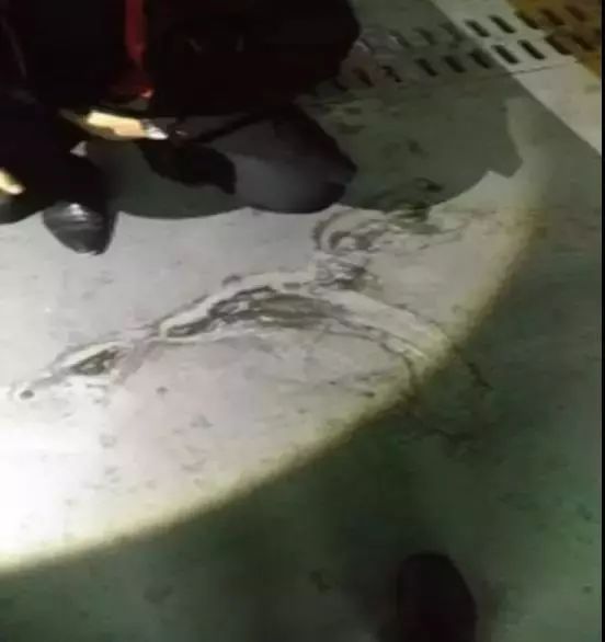 首页|bifa必发集团中国官方网站