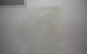 首页|bifa必发集团中国官方网站