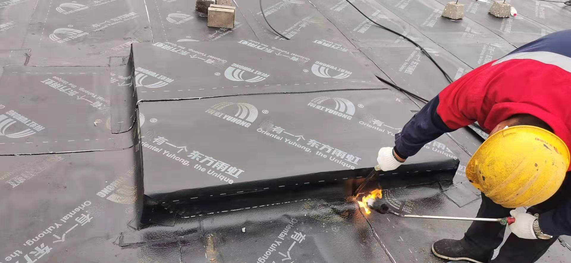 首页|bifa必发集团中国官方网站