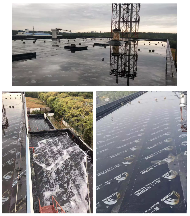 首页|bifa必发集团中国官方网站