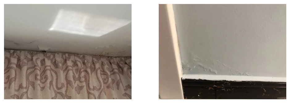 首页|bifa必发集团中国官方网站