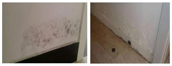 首页|bifa必发集团中国官方网站