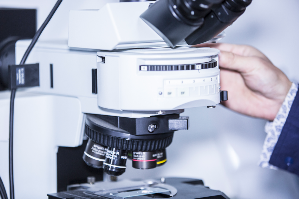 首页|bifa必发集团中国官方网站