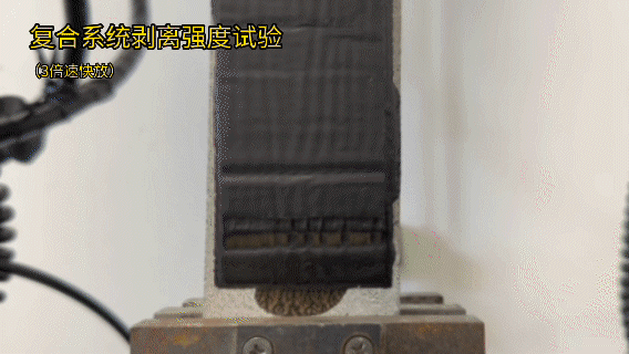 首页|bifa必发集团中国官方网站